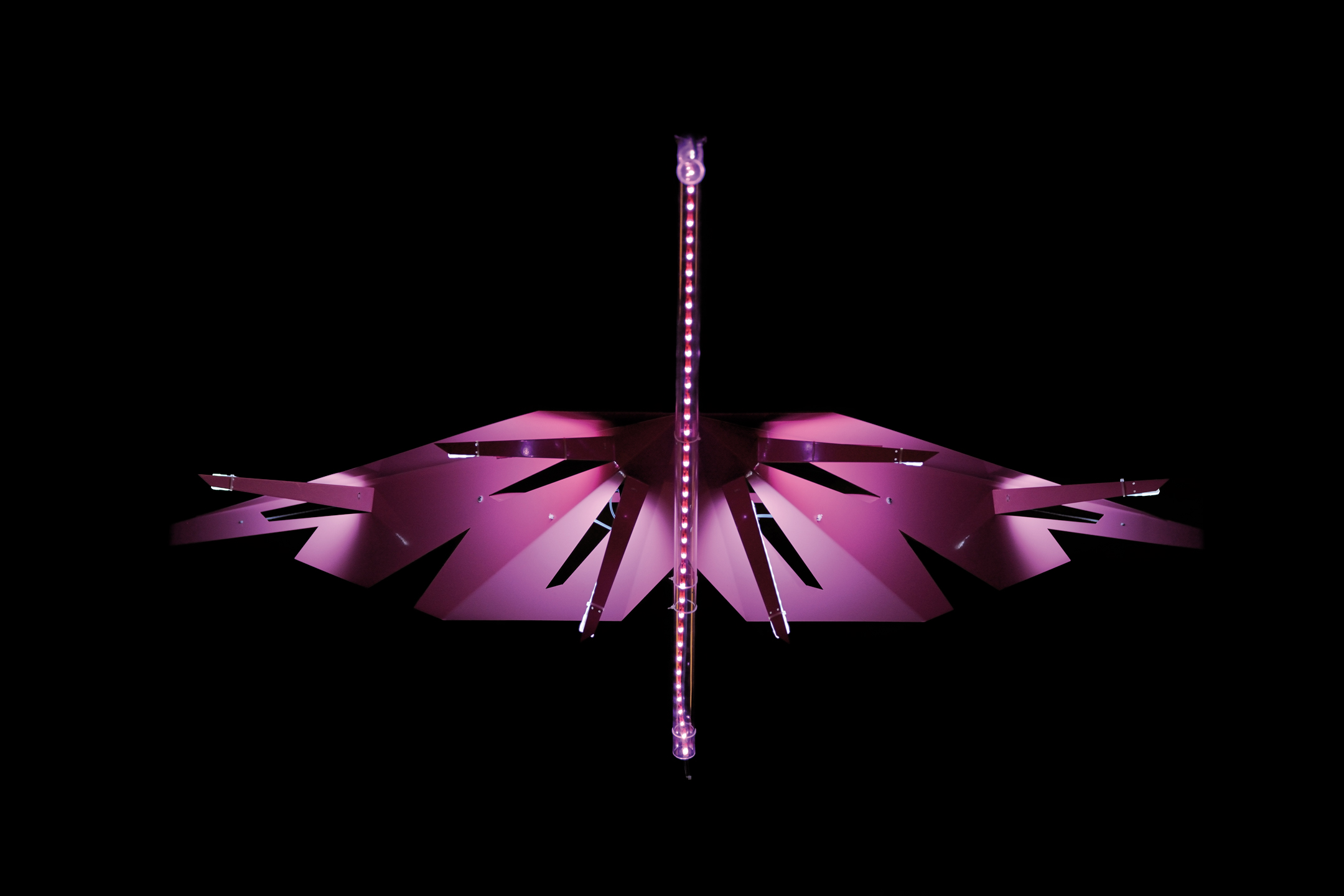 Pitaya projet Flamingo