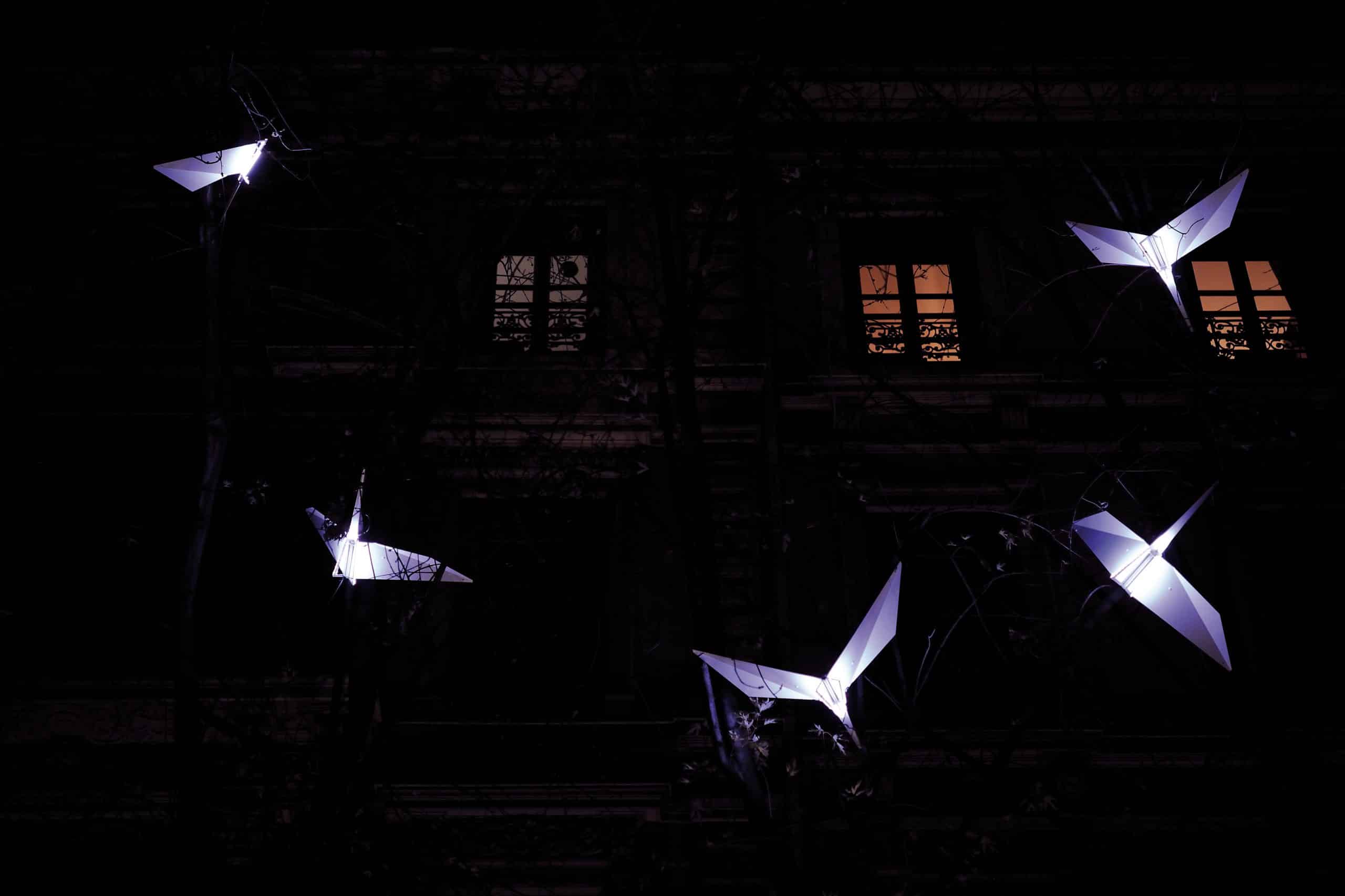 De grandes sculptures d'oiseaux en origami illuminées brillent dans l'obscurité à l'extérieur d'un bâtiment, avec deux fenêtres éclairées visibles à l'arrière-plan. Les oiseaux semblent suspendus, créant une scène nocturne fantaisiste.