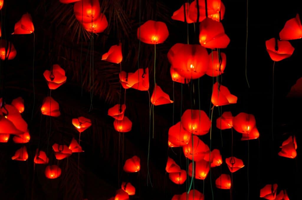 Des dizaines de lanternes en papier rougeoyantes sont suspendues sur un fond sombre, éclairant la scène d'une lumière chaude et festive. Les lanternes sont suspendues à différentes hauteurs, créant une atmosphère flottante et magique.