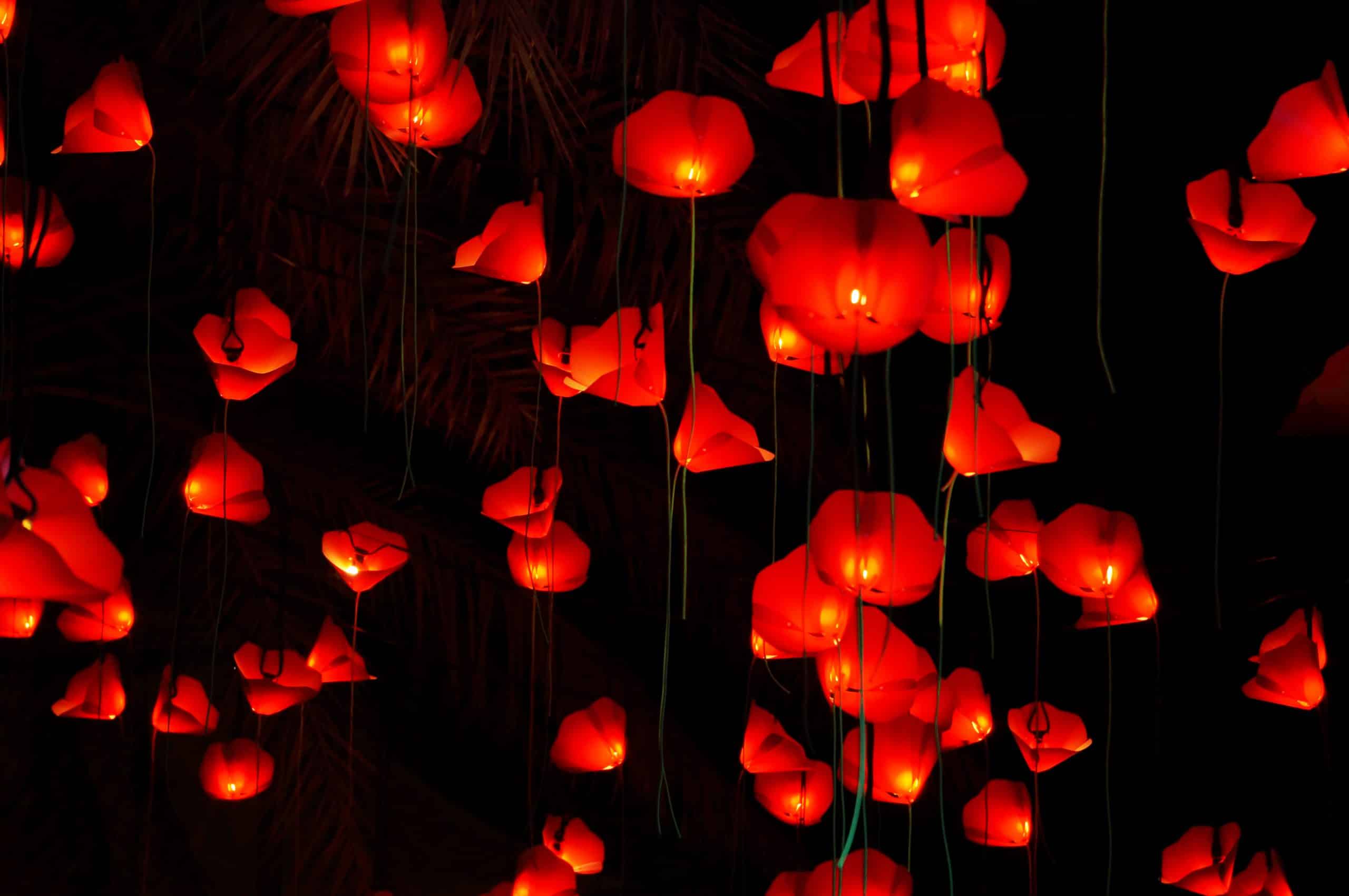 Des dizaines de lanternes en papier rougeoyantes sont suspendues sur un fond sombre, éclairant la scène d'une lumière chaude et festive. Les lanternes sont suspendues à différentes hauteurs, créant une atmosphère flottante et magique.