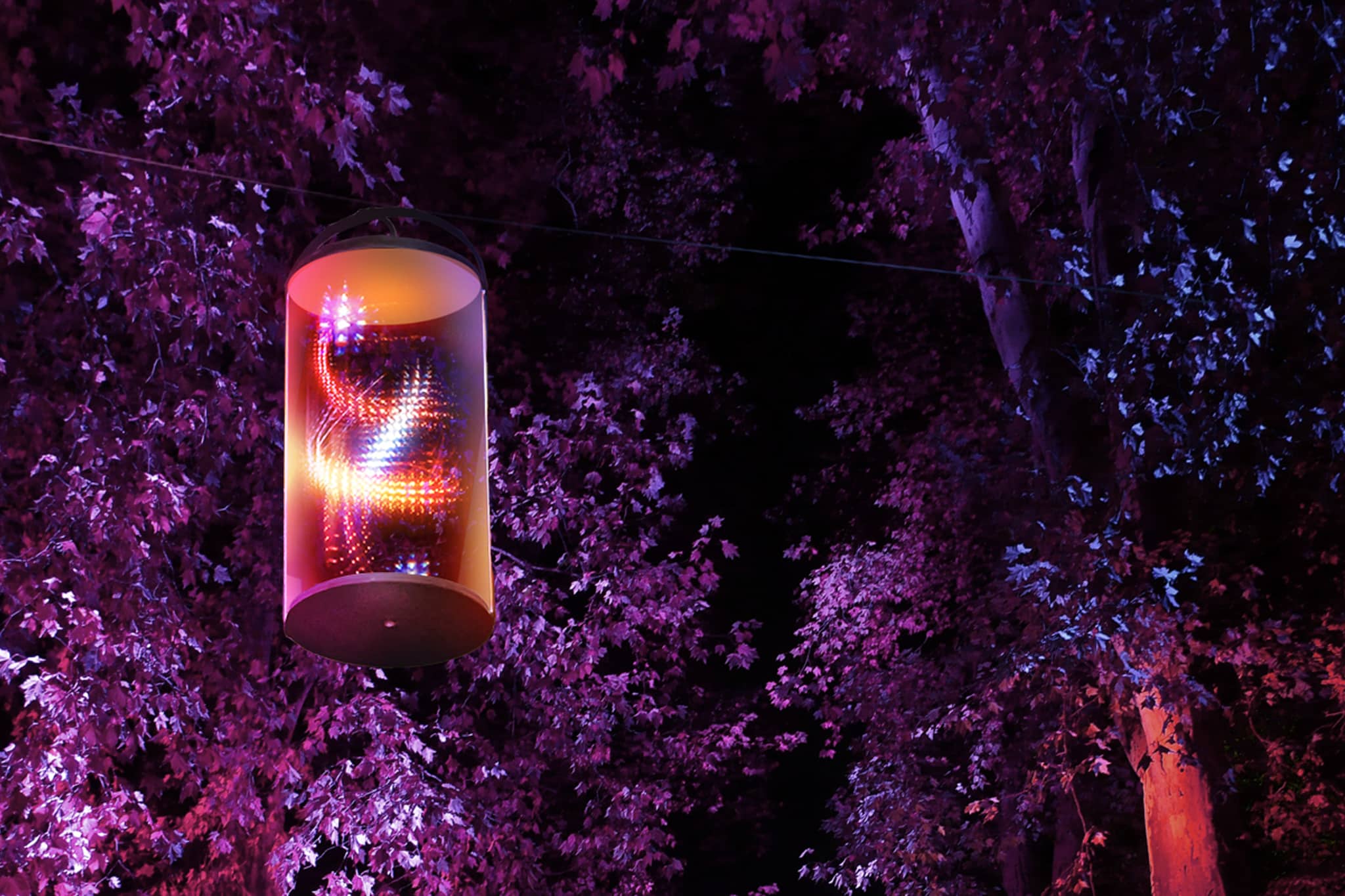Une lanterne cylindrique avec des lumières colorées à l'intérieur est suspendue à un fil au milieu d'arbres illuminés dans des teintes violettes et roses la nuit.